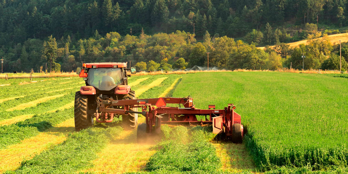 Productores-de-semillas